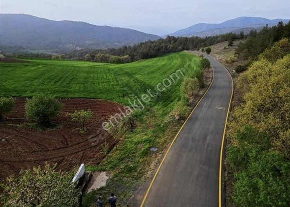 Asfalt Yol Yanı Çeşme Dibi 3 Dönüm Harika Konum Kaçmaz Fırsat !!