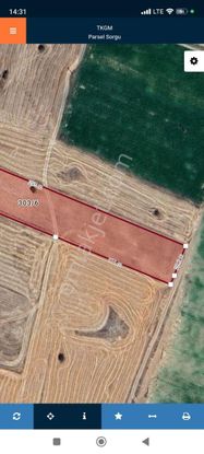 Pratik Den// Lale De Baraj Yakını 10.700 Metre Tarla