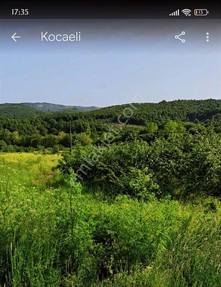 Tarcanlardan Kandırada Fırsat Tarla