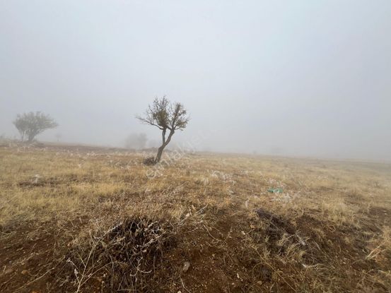 Öz Gaye Emlaktan Develi Tombak Bekçitepesi Mevkinde Satılık Arazi