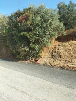 Kemalpaşa Bağyurdunda Satılık Arsa