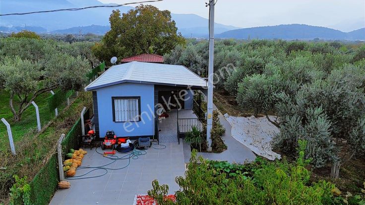 Kemalpaşa Aşağı Kızılca Ovada Ana Yola Yakın 1586m2 Bahçe