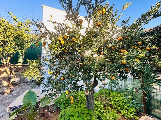 Aylık Ödemeli, Orjinal Taş Villa, Bahçeli Müstakil Sıfır