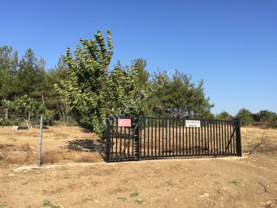 Keşan Yeşilköy 7.800m2 Etrafı Çevrili 1.100 Ad. Elma Ağacı