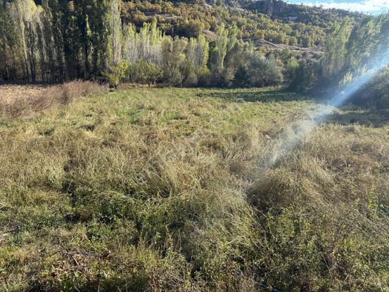Erenkaya Bulumya Deresi Cepheli Kadastro Yolu Olan Bahçe