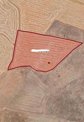 Satılık Tarla 8 Dönüm Yatırımlık , Eskişehir - Tepebaşı - Kavacık Mahallesi