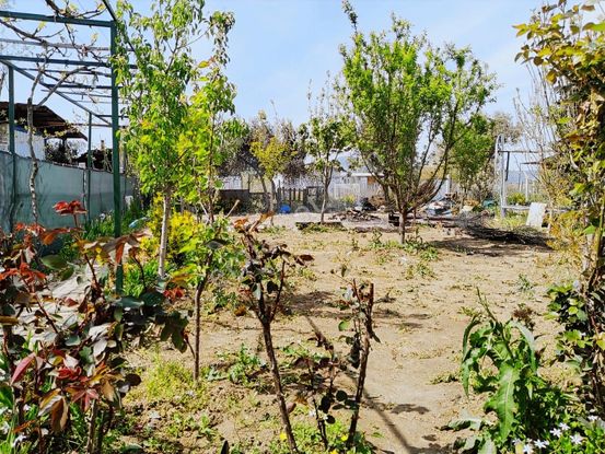 Değirmendere'de Ağaçları,çiçekleri.bahçesi Dikili Hobi Bahçesi