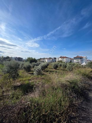 Manavgat Hatıplar Da Hisse Tapulu Yer