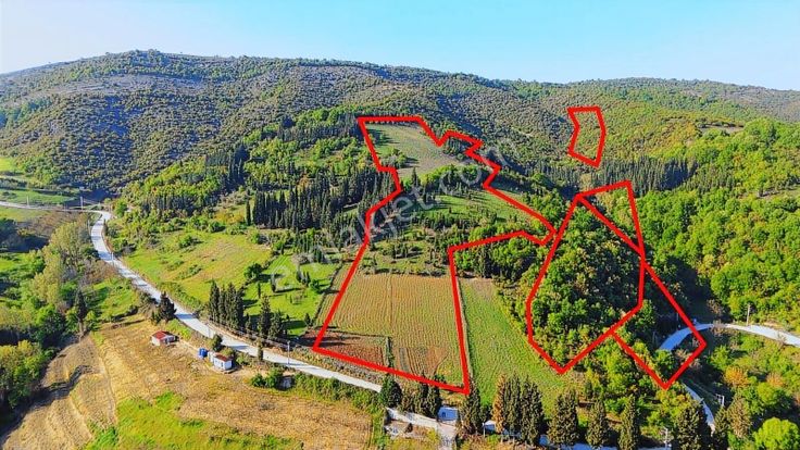 Karamürsel İnebeyli'de 33 Dönüm Süper Konumda Satılık Tarla