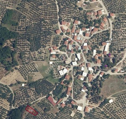 Expert'ten Mudanya Yaylacık'ta 500 M² Satılık Tarla