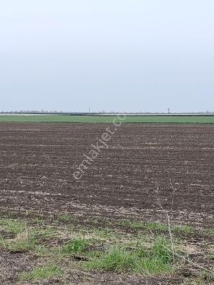 Yeni Toki Bölgesinde Sahibinde Acil Satılık Son Parseller