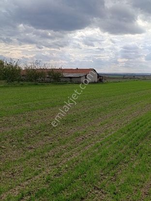 Köyün Dibinde Elektrik Su Başında