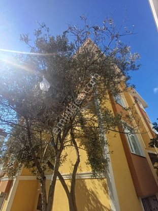 Adnan Kahveci Metroya Yürüme Balkonlu 2+1 Bahçe Katı Fırsat Daire