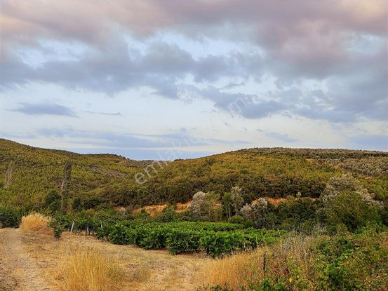 Rw Land Gayrimenkul Çağrışan 1/1000lik Planda Villa İmarlı Arazi