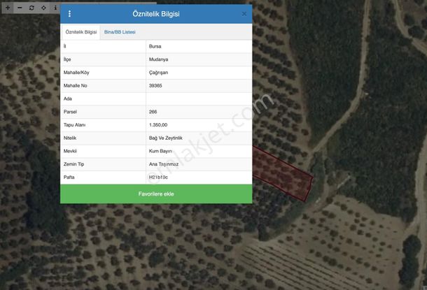 Rw Land Gayrimenkul Çağrışan 1/1000lik Planda Villa İmarlı Arazi