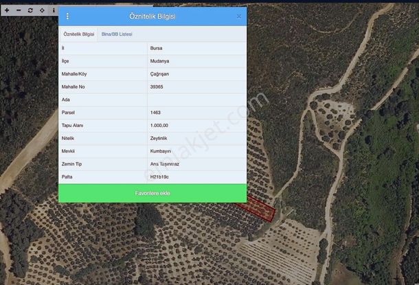 Rw Land Gayrimenkul Çağrışan 1/1000lik Planda Villa İmarlı Arazi