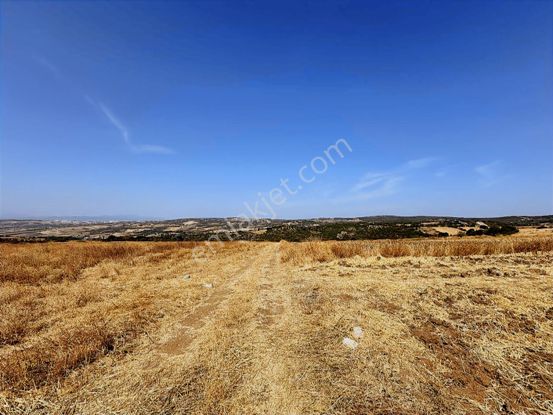 Rw Land Gayrimenkul Den İnegöl Akbaşlar Satılık Arazi