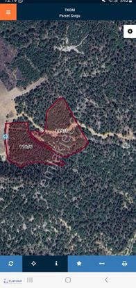 Selbükünde Satılık Yatırıma Uygun Tarlalar