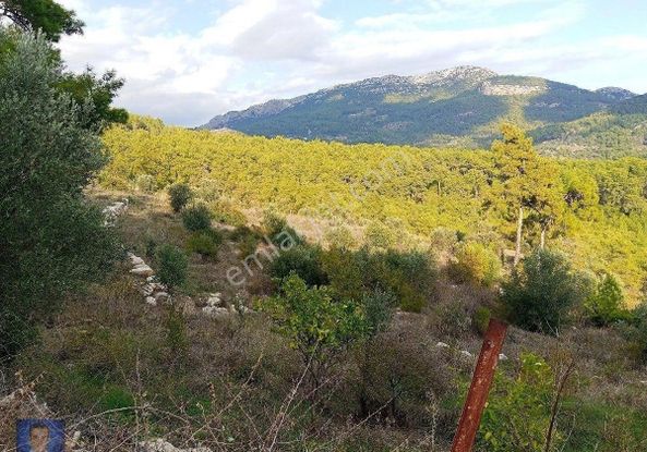 Yazırda Bu Fiyata Yok