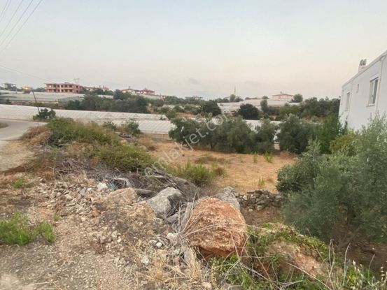 Alanya Akdam Mahallesi Satılık Tarla