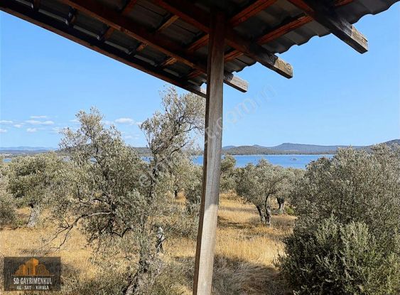 Cundada Deniz Manzaralı, Tiny Housea Uygun 40 Ağaçlı Zeytinlik