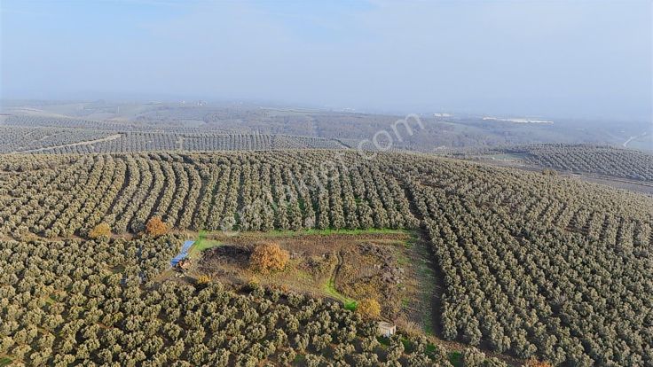Gelişen Bölgede 4.280 M² Kaçırılmayacak Yatırım Fırsatı