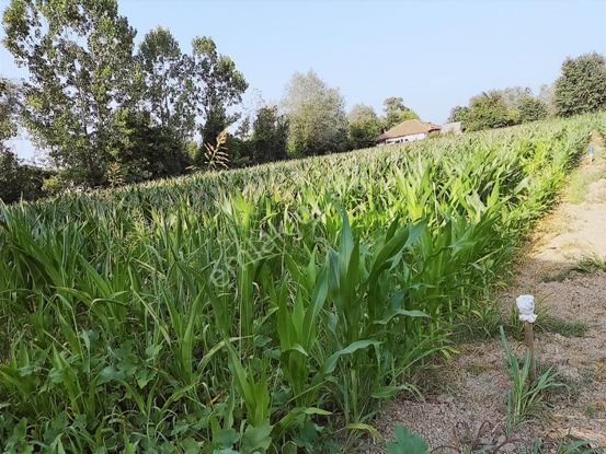 Yılmaz Mega'dan Vakıf Ada Caddesinde 930 M2 Konut İmarlı Arsa