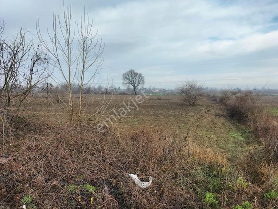 2.organize Sanayiye Yakın Yola Cepheli Satılık Tarla