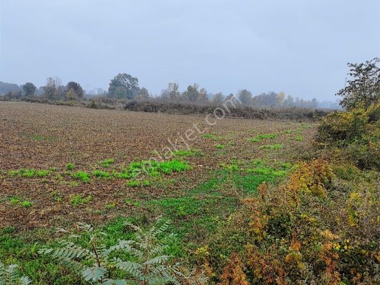 Yılmaz Megadan E 5 Yoluna 67 Metre Cepheli Satılık Fırsat Arazi