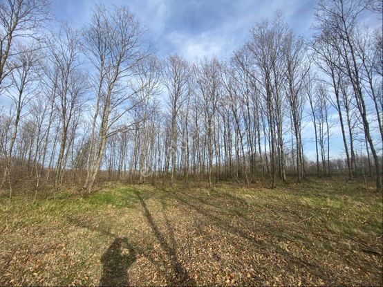 Kırklareli Vize Küçükyayla Köye Yakın Tek Tapu Müstakil Satılık Tarla