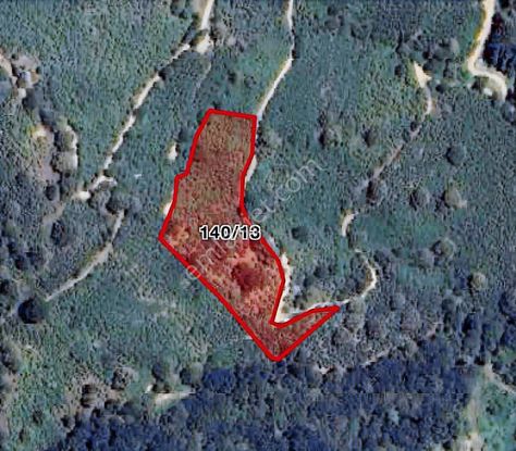 Yön Group'tan Ahmediye'de Satılık Fındık Bahçesi