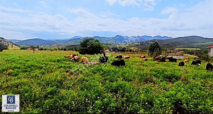 Tunceli İsmet İnönün'de Tarla Fırsatı