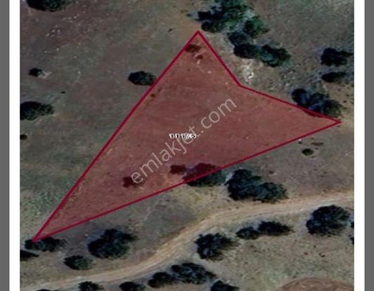 Burdur Yeşilova İğdir Mah. Körünev Mevkiinde 2.358 M² Tek Tapu