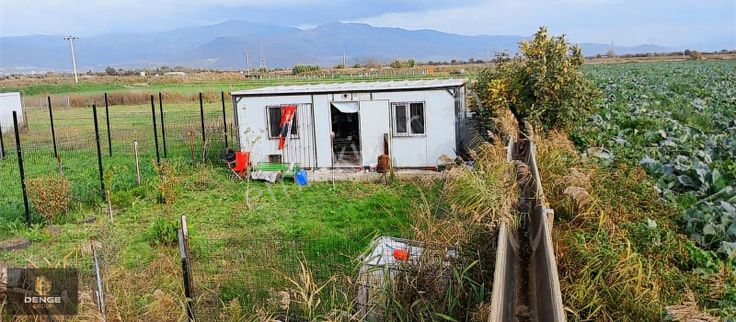 Menemen Türkellide Konteynerli Hobi Bahçesi
