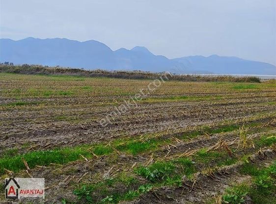 Muğla,seydikemer, Demirlerde Her Türlü Tarım Yapmaya Uygun Tarla