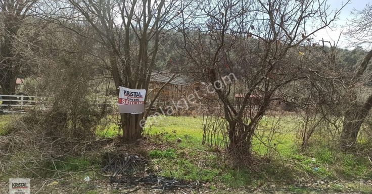 Kristal Marin'den Kestel Dudaklı Da Satılık Arazi