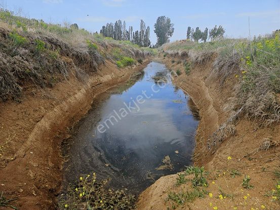 Elektriğe Ve Merkeze Yakın Sulu Tarla Kaçırılmayacak Fırsat