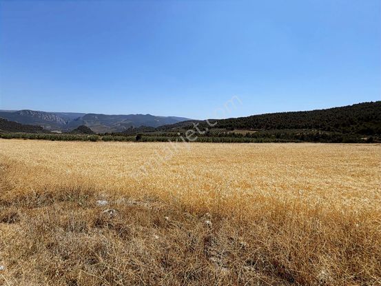 Bilecik Düzmeşe Köyün Yanıbaşında Satılık 10.168 Dönüm Arsa