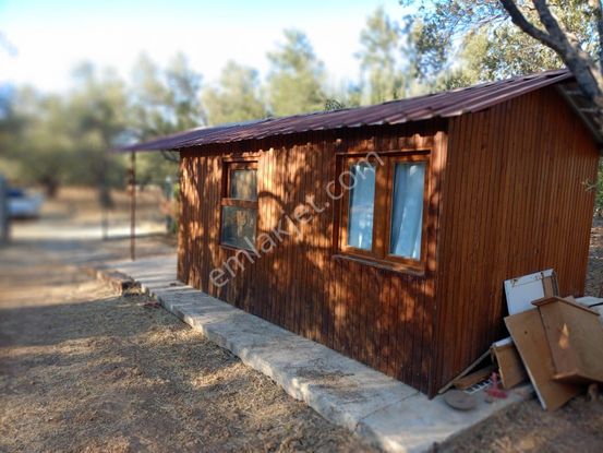 Balıkesir Burhaniye Tayleyli Mh Satılık Hobi Bahçesi