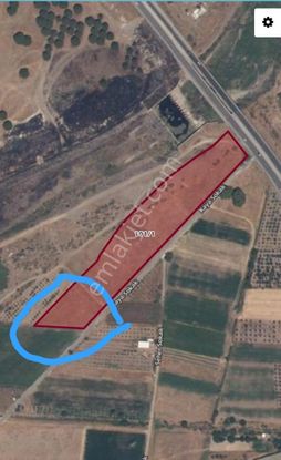 Dikili Sancak Emlak'tan Satılık Tarla!