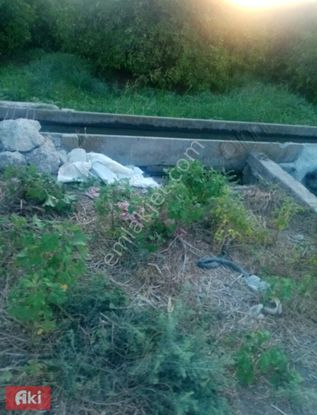 Aki Gayrimenkul Den Tek Tapu / Yenidam / 270 Dönüm / Tarla Bağ Bahçe Çiftlik / İcarada Olur