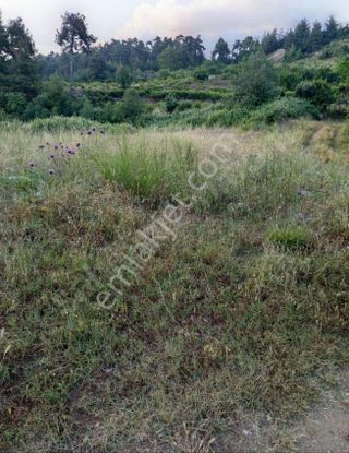 Sahibinden Mersin'in En Gözde Yaylası Kepirlide Yatırımlık 367 M2 Arsa