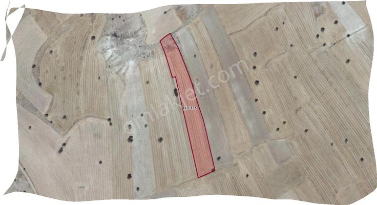 Özpınar ,dan Fasıllar Satılık Tarla 8369 M2 Seydişehir,e 35 Km.