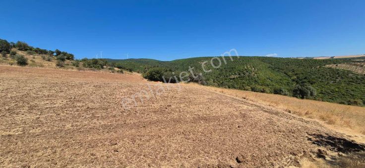 Karacabey Doğla Yerleşime Yakın Resmi Yola Cephe Fırsat Tarla