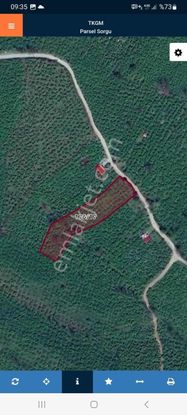 Vızyon'dan Öceli Müstakil Tapu