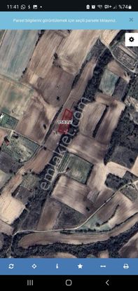 Edirne Fatih Mah. Paçacılar Mevkiinde Satılık Tarla Ve Bağlar