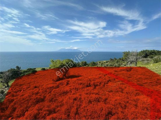 İmroz Emlak'tan Mesadi Mevkii'de Deniz Manzaralı 1.047 M2 Tarla