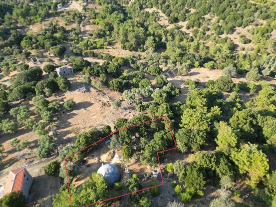 İmroz Emlak'tan Rihya Mevkii'de 1.186m2 Damlı Zeytinlik