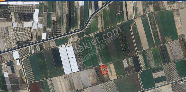 7 Yaşında Bakımlı Ceviz Bahçesi Uygun Fiyat İle Satılıkkk