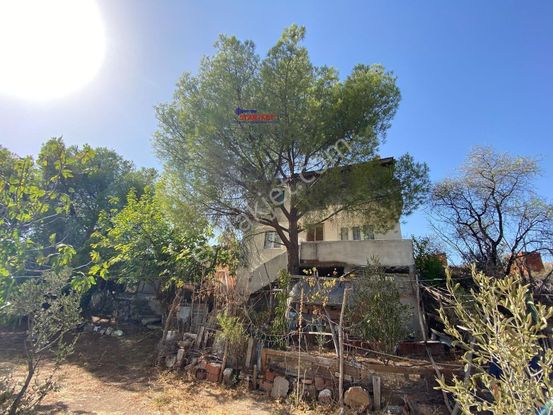 Ayvalık Üçkabaağaç' Ta Satılık